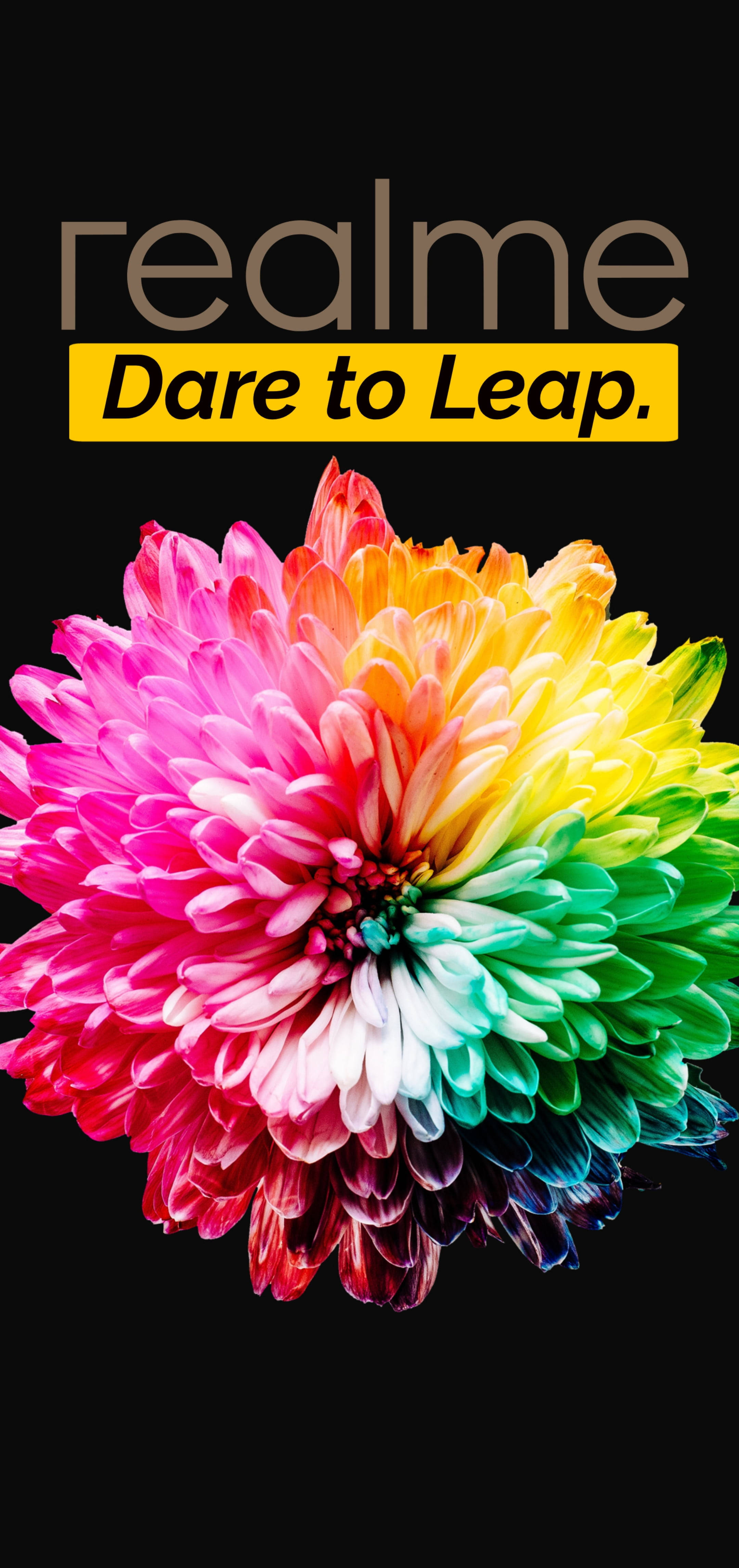 Chrysanthemum 桌布 壁紙 — 一朵充滿活力的彩虹色菊花在純黑色背景上綻放，帶有 'realme Dare to Leap' 文字。
