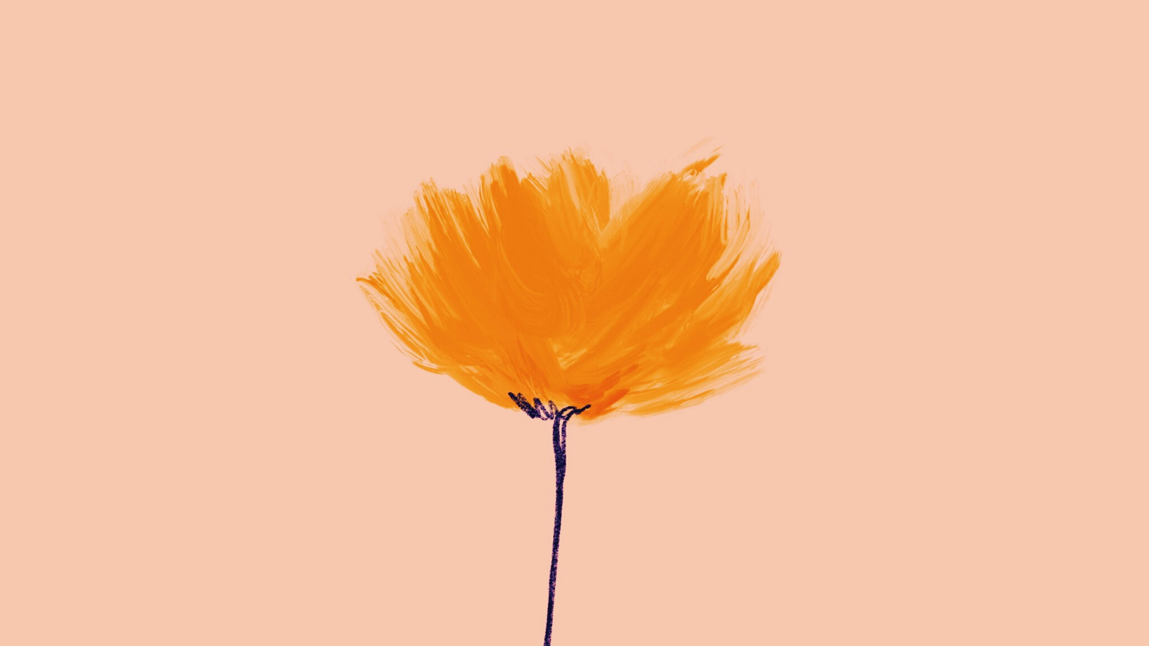 Orange Flower 桌布 壁紙 — 一朵充滿活力的橙色花朵，帶有紋理筆觸，在柔和的桃色背景上盛開。