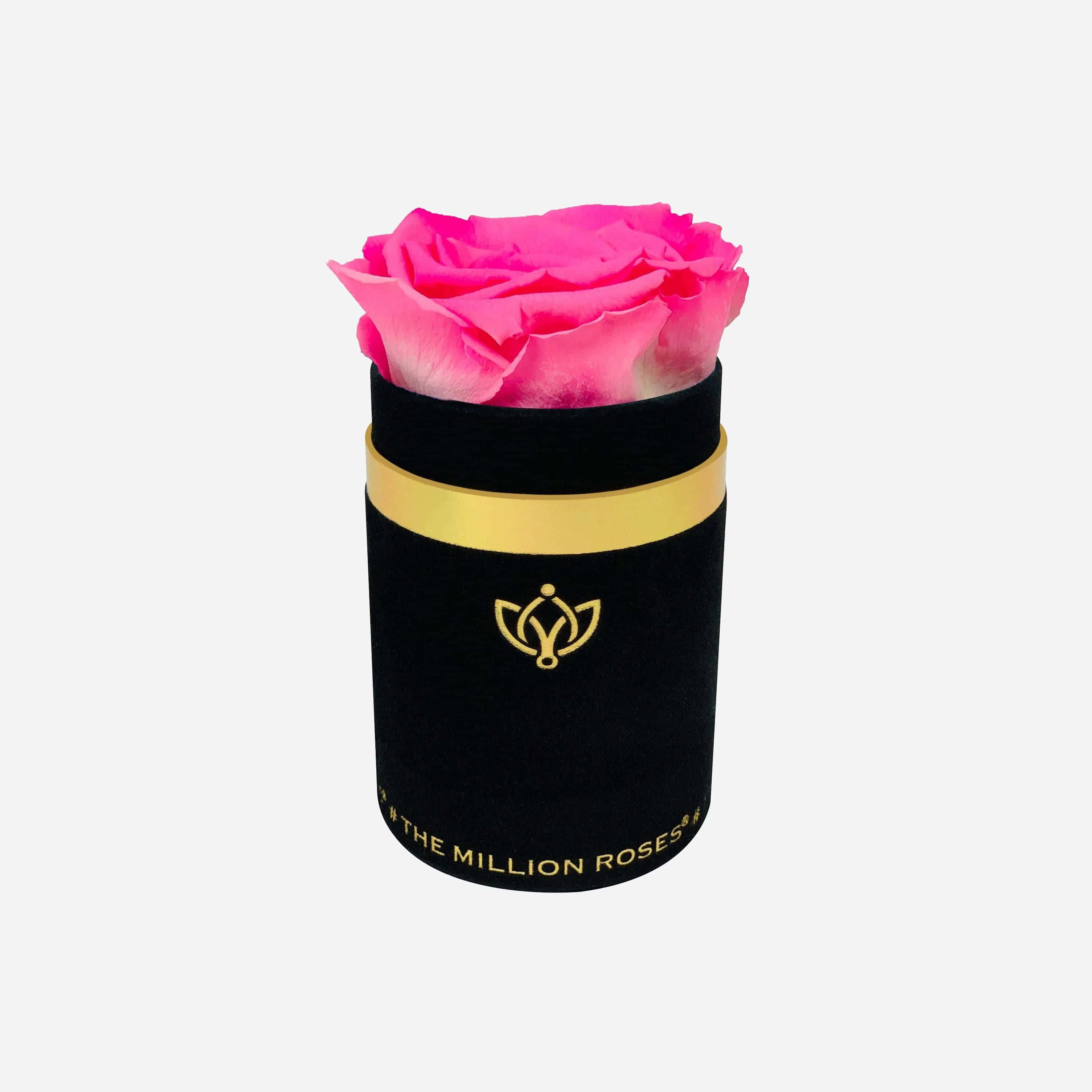 Single Rose 桌布 壁紙 — 一朵充滿活力的粉紅色保鮮玫瑰從一個飾有金色飾邊和標誌的時尚黑色天鵝絨圓筒中冒出。