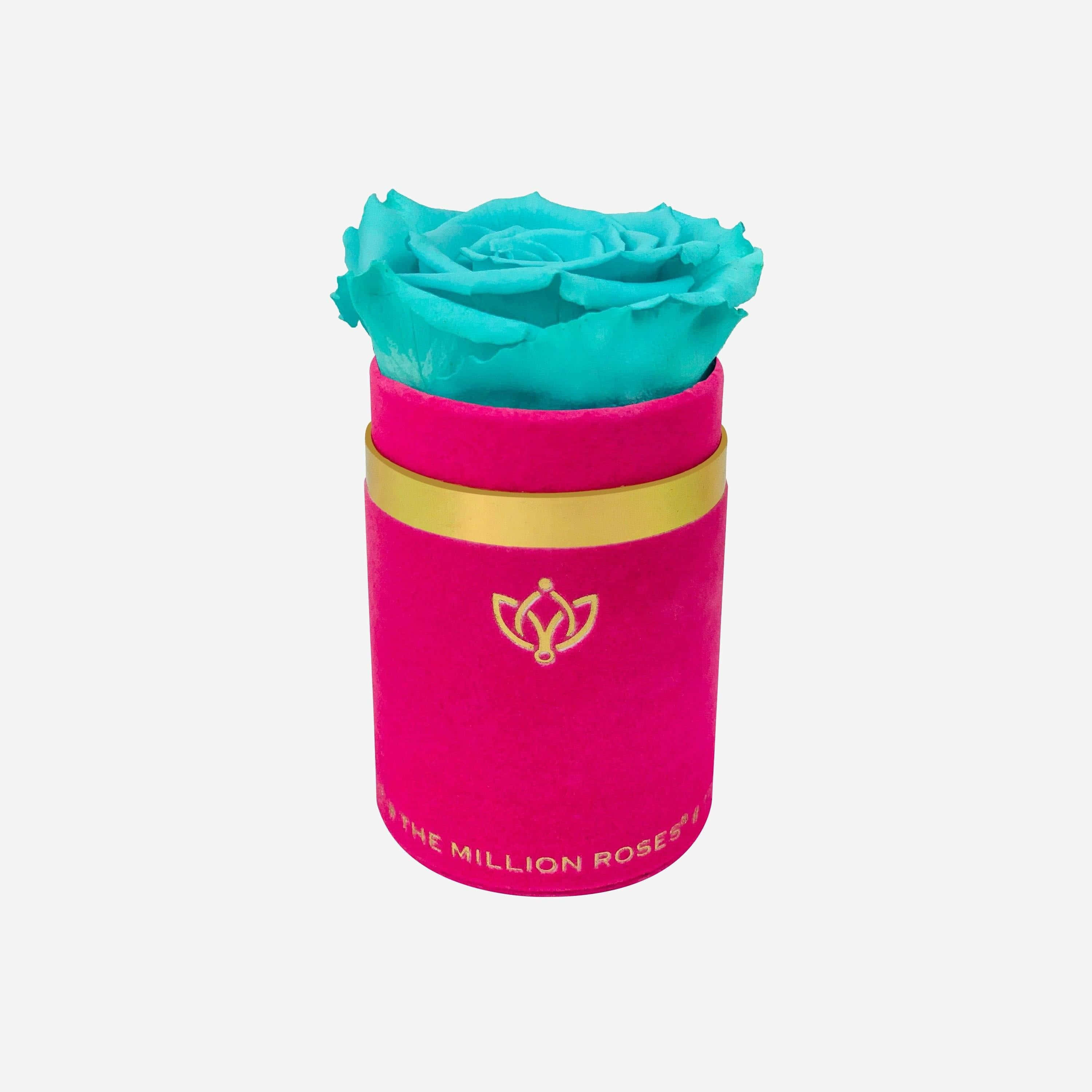 Single Rose 桌布 壁紙 — 一朵充滿活力的綠松色永生玫瑰從一個飾有金色飾邊和標誌的毛絨紫紅色天鵝絨圓筒中冒出。