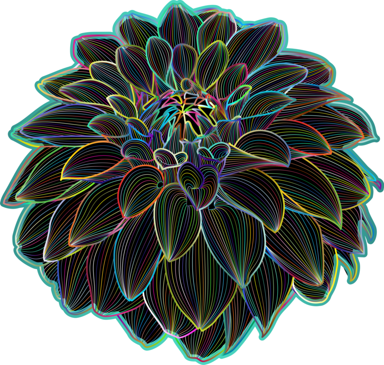 菊花 桌布 壁紙 — 一朵充滿活力的霓虹輪廓大麗花，在黑色背景上閃爍著多彩的線條。