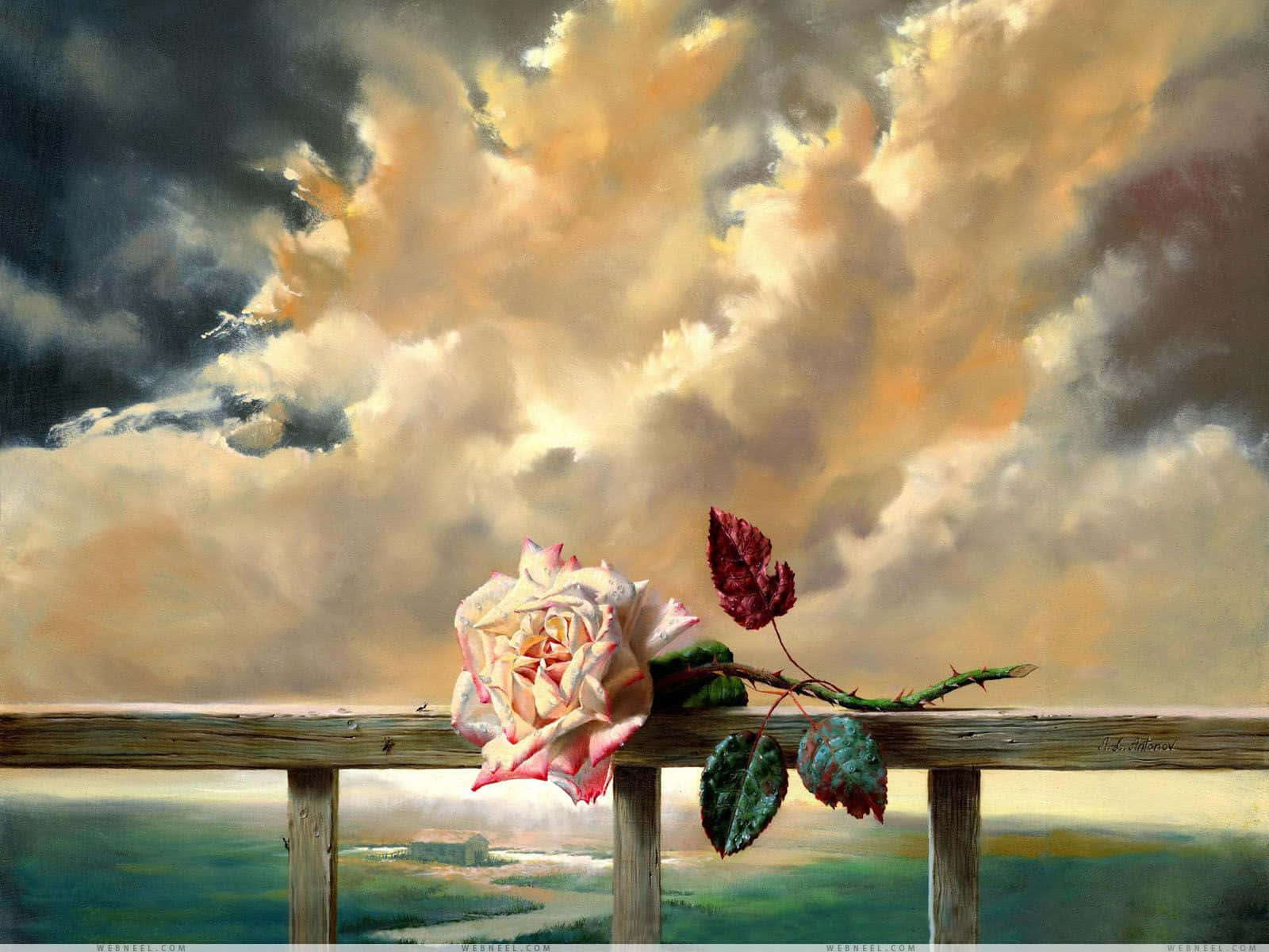 Painting 桌布 壁紙 — 一朵凋謝的玫瑰，花瓣褪色，擱在風化的木欄杆上，背景是戲劇性的暴風雨天空，帶有金色雲彩。