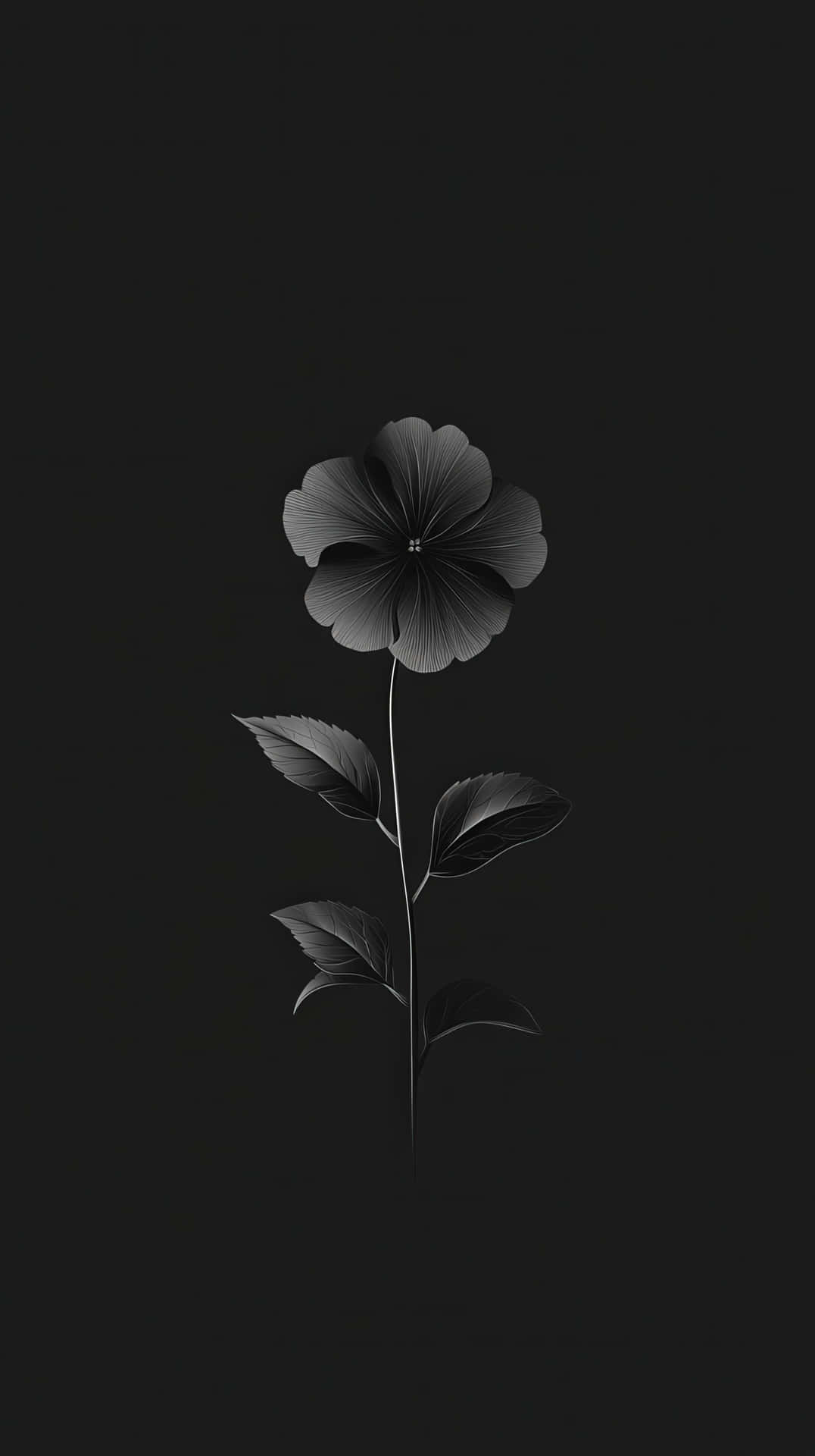 Minimalist black flower with delicate petals and leaves against a dark background 壁紙 — 一朵單一風格化的花朵，帶有層層花瓣和葉子，從深色背景中以單色調浮現。