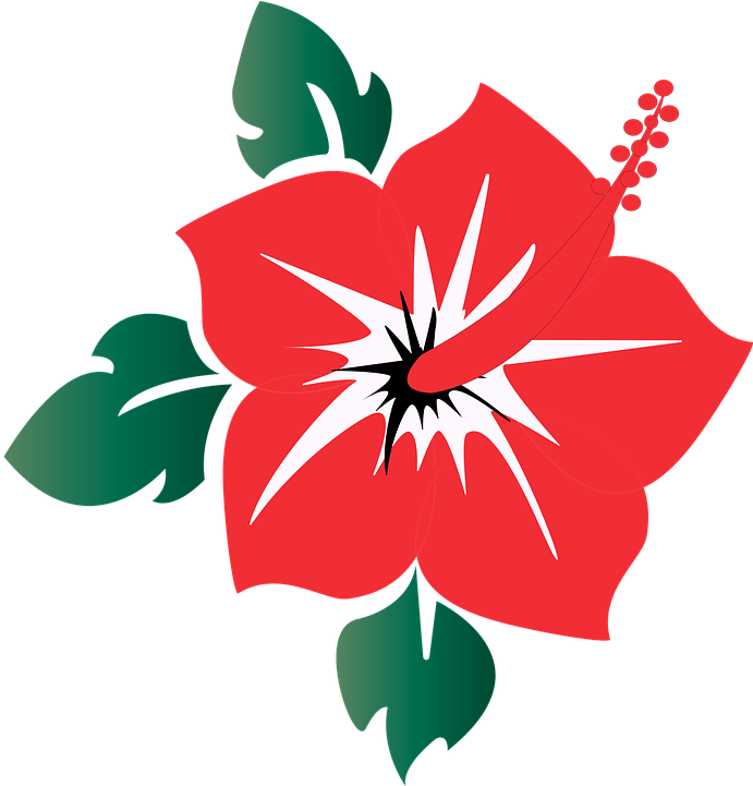 Flowers Aesthetic 桌布 壁紙 — 一朵大膽的紅色木槿花，帶有白色星爆中心及綠色葉子，在純黑背景上格外突出。