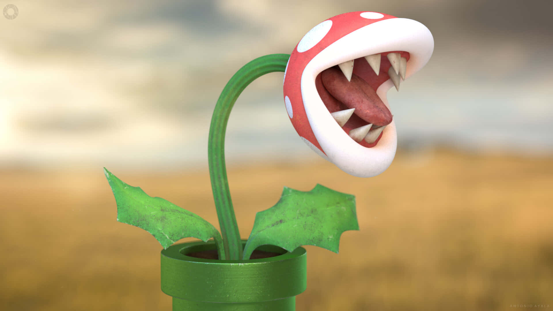 piranha plant 桌布 壁紙 — 一朵帶有尖銳牙齒的威脅性紅白食人花從綠色管道中爆出，背景是模糊的沙漠。