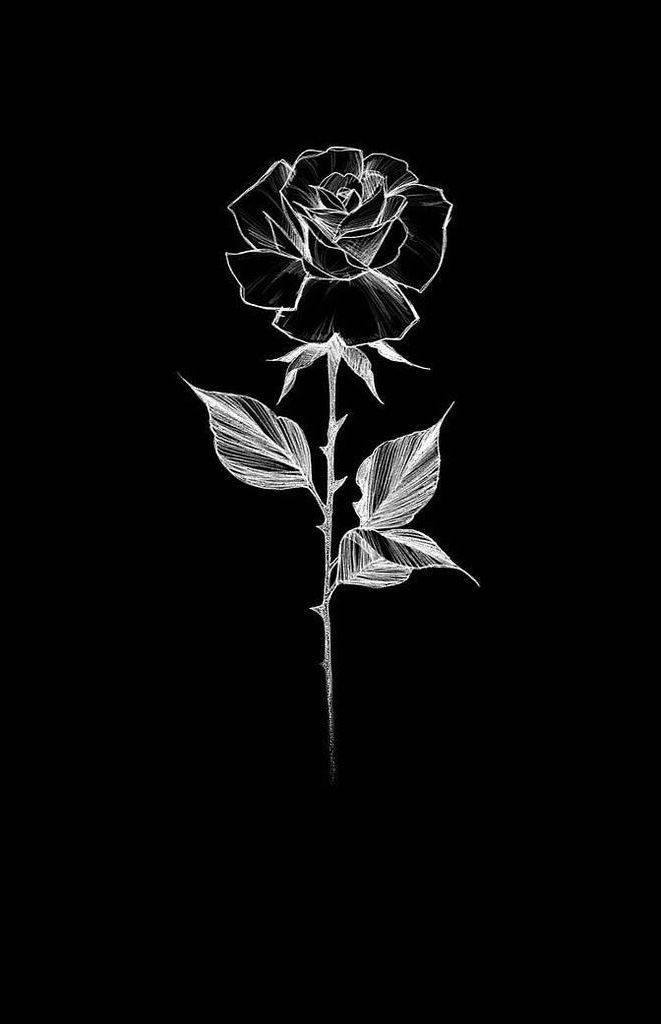 一朵白玫瑰，葉片和尖刺以細線繪製在黑色背景上。 — 玫瑰 GIF 壁紙