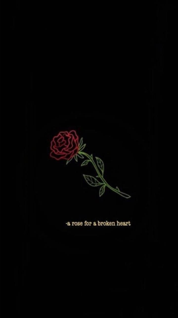 Red Rose 桌布 壁紙 — 一朵帶有綠色莖和葉子的紅玫瑰在黑色背景上發光，下方有文字。
