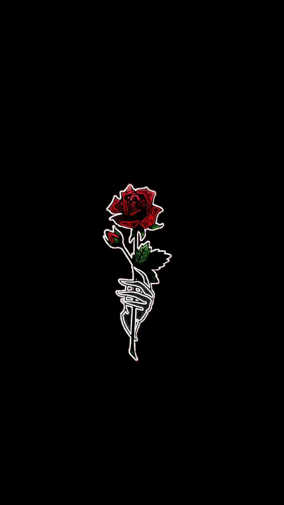 Cool Rose 桌布 壁紙 — 一朵帶有綠色葉子和莖的紅玫瑰，以白色勾勒輪廓，在純黑色背景上發光。