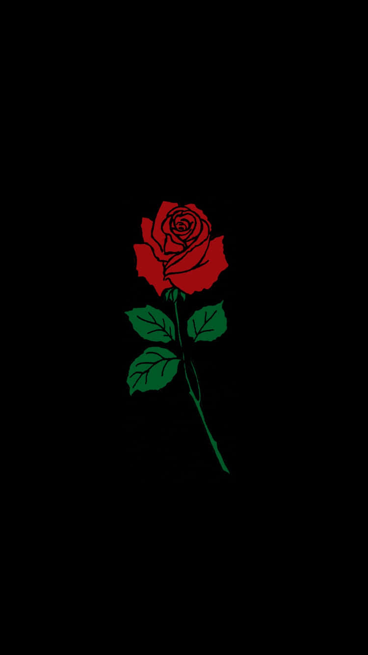 Cool Rose 桌布 壁紙 — 一朵帶有綠葉和綠莖的紅玫瑰，在純黑色背景上顯得格外突出。