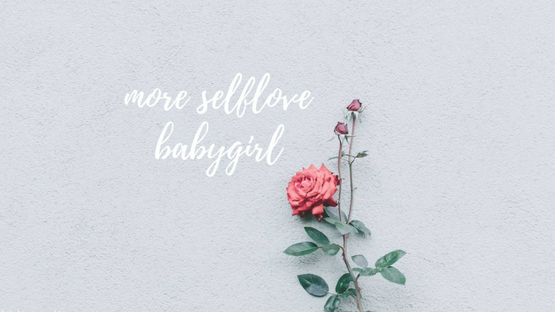 灰色牆上 more selflove babygirl 文字旁邊的一朵帶有綠葉和花蕾的紅玫瑰。 — 愛情美學動圖 壁紙