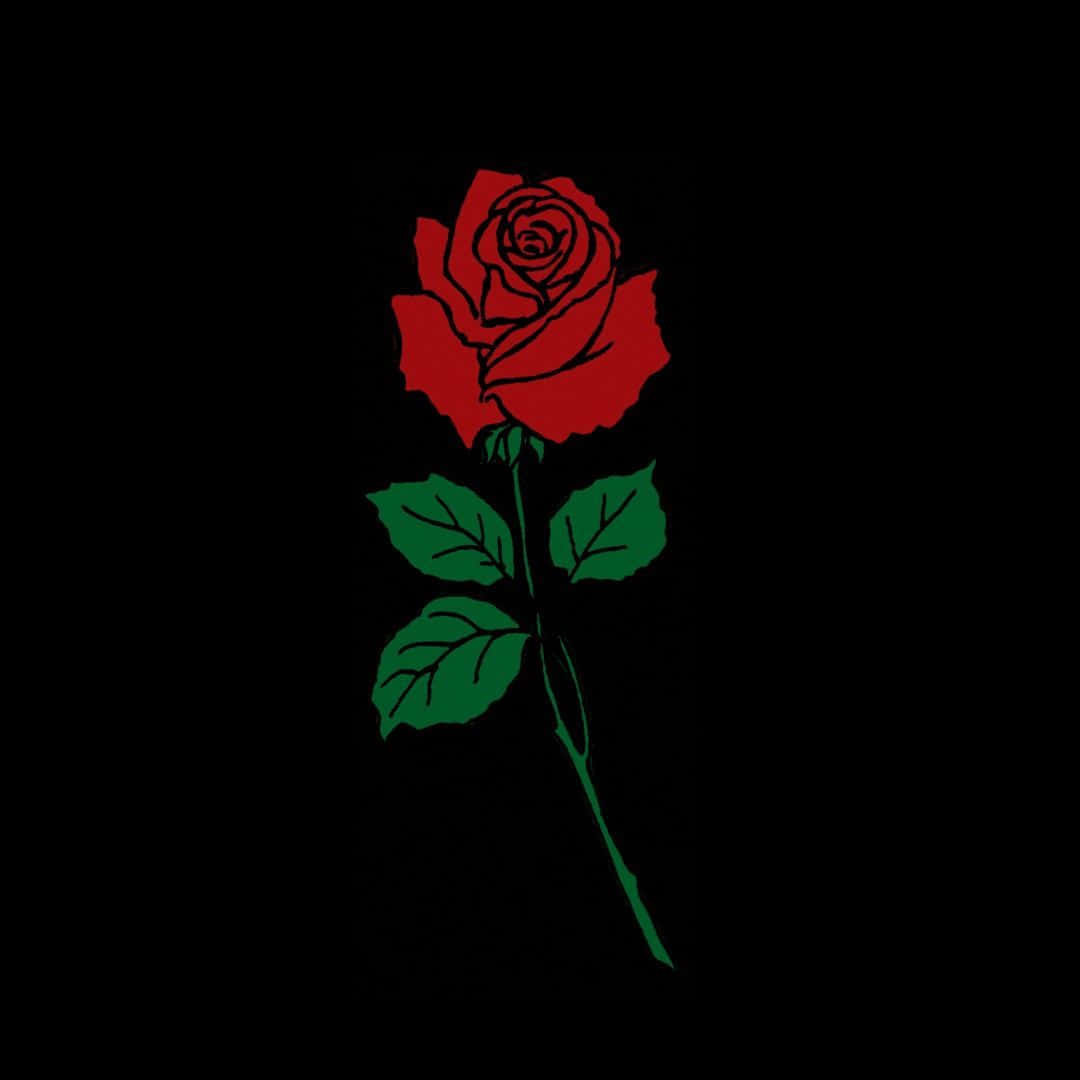 Black Rose Aesthetic 桌布 壁紙 — 一朵帶有綠葉和莖的紅玫瑰在純黑色背景上顯得格外突出。
