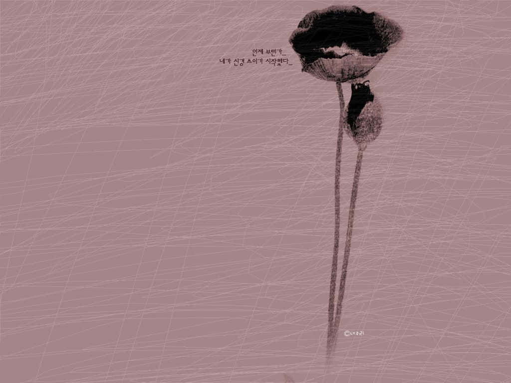 Aesthetic Korean 桌布 壁紙 — 一朵帶有花蕾的黑色罌粟花，立在滿是白色刮痕線條和韓文的淡紫色背景前。