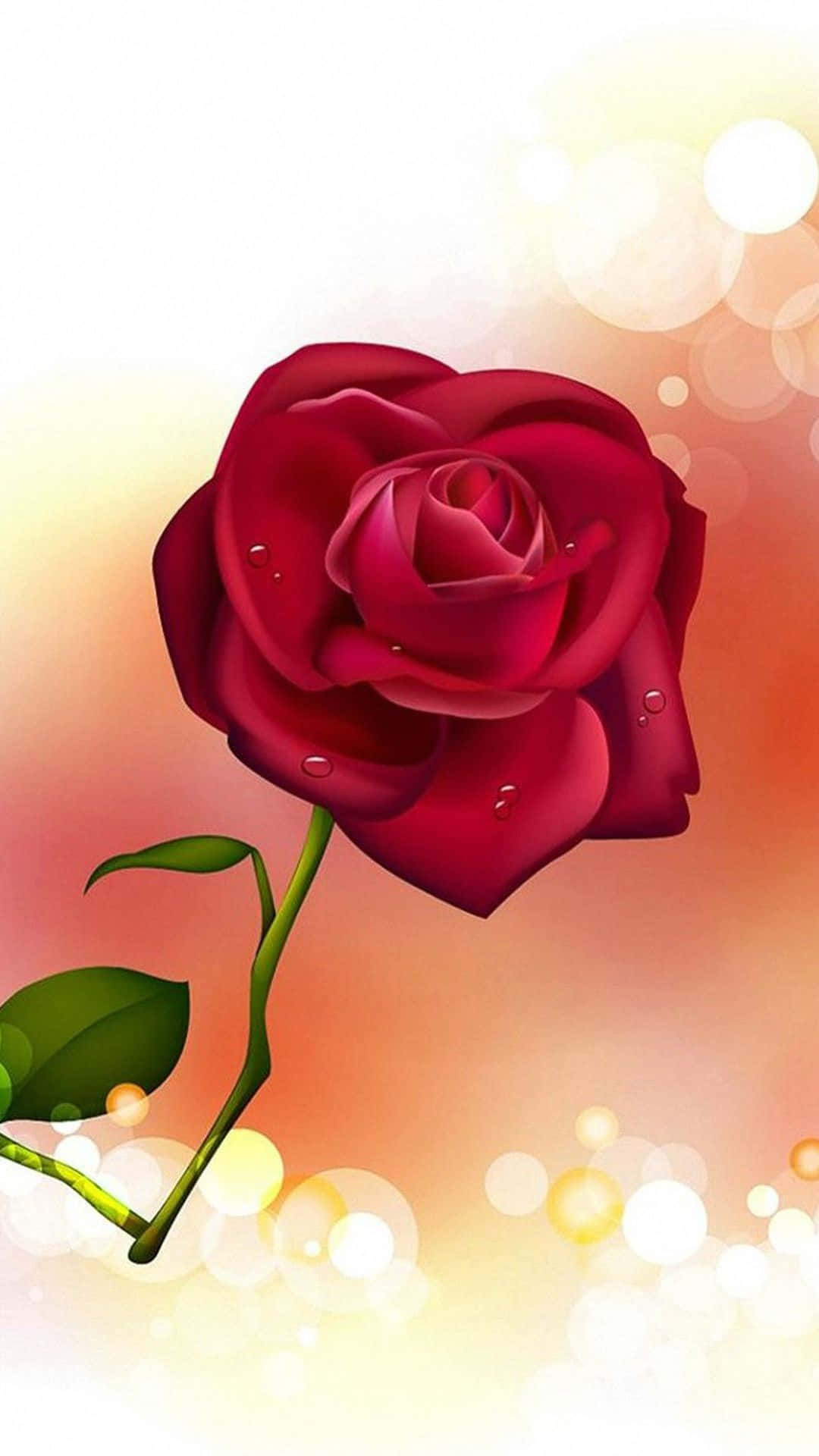 HD Roses 桌布 壁紙 — 一朵帶有露珠的鮮紅玫瑰在溫暖的散景背景中閃耀。