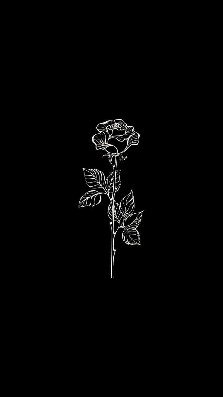 Rose Art 桌布 壁紙 — 一朵帶葉的單支玫瑰的極簡白色線條畫，居中置於純黑色背景上。