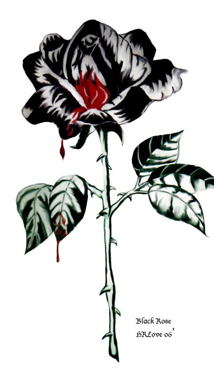 Black Rose Aesthetic 桌布 壁紙 — 一朵引人注目的黑玫瑰，帶有火紅色的中心，在白色背景上從花瓣和葉子滴下血液。