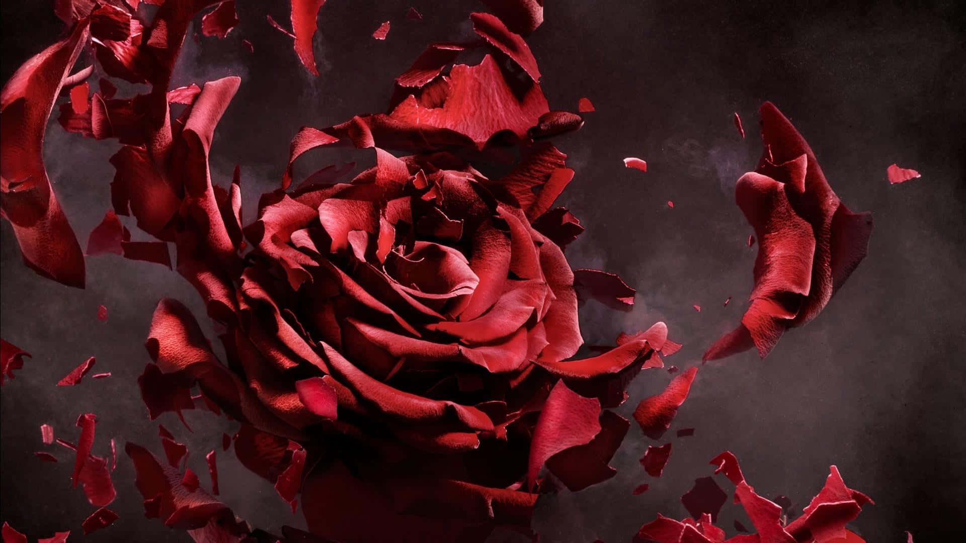 Rose Art 桌布 壁紙 — 一朵戲劇性的紅玫瑰在黑暗煙霧背景中爆開，花瓣向外飛散。