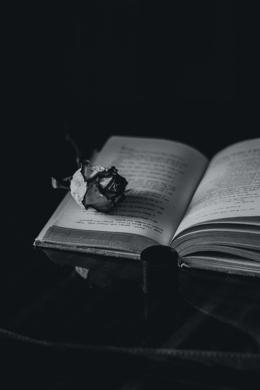 黑色 桌布 壁紙 — 一朵枯萎的玫瑰放在一本打開的書上，構成鮮明的黑白畫面。