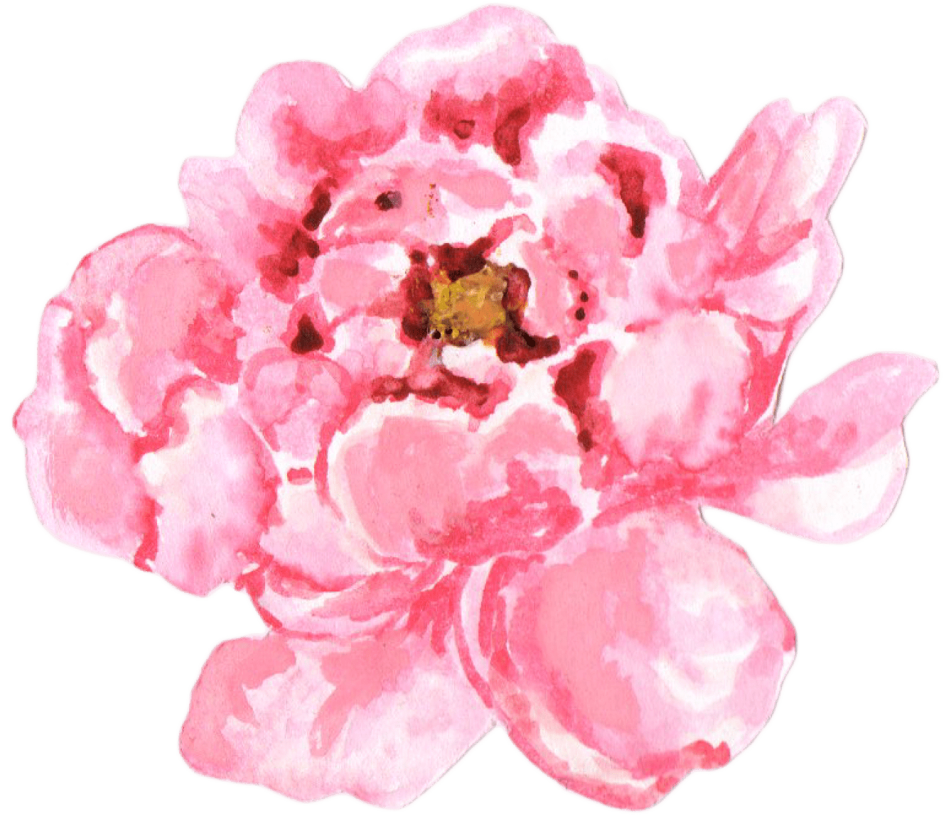 Peony 桌布 壁紙 — 一朵柔和的水彩牡丹，以粉紅色調在純綠色背景上綻放，帶有細膩的筆觸。
