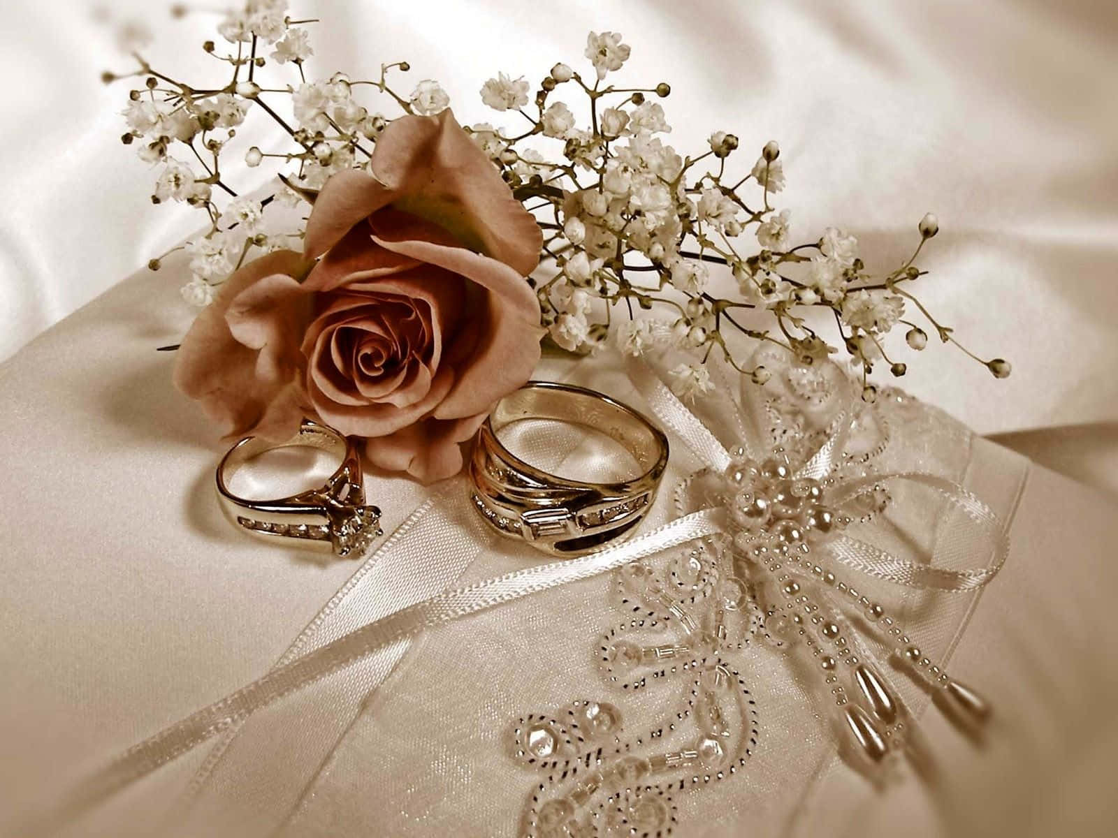 Marriage 桌布 壁紙 — 一朵柔和的粉紅玫瑰和精緻的白色滿天星環繞著兩個結婚戒指，放在帶有蕾絲和珍珠的緞面枕頭上。