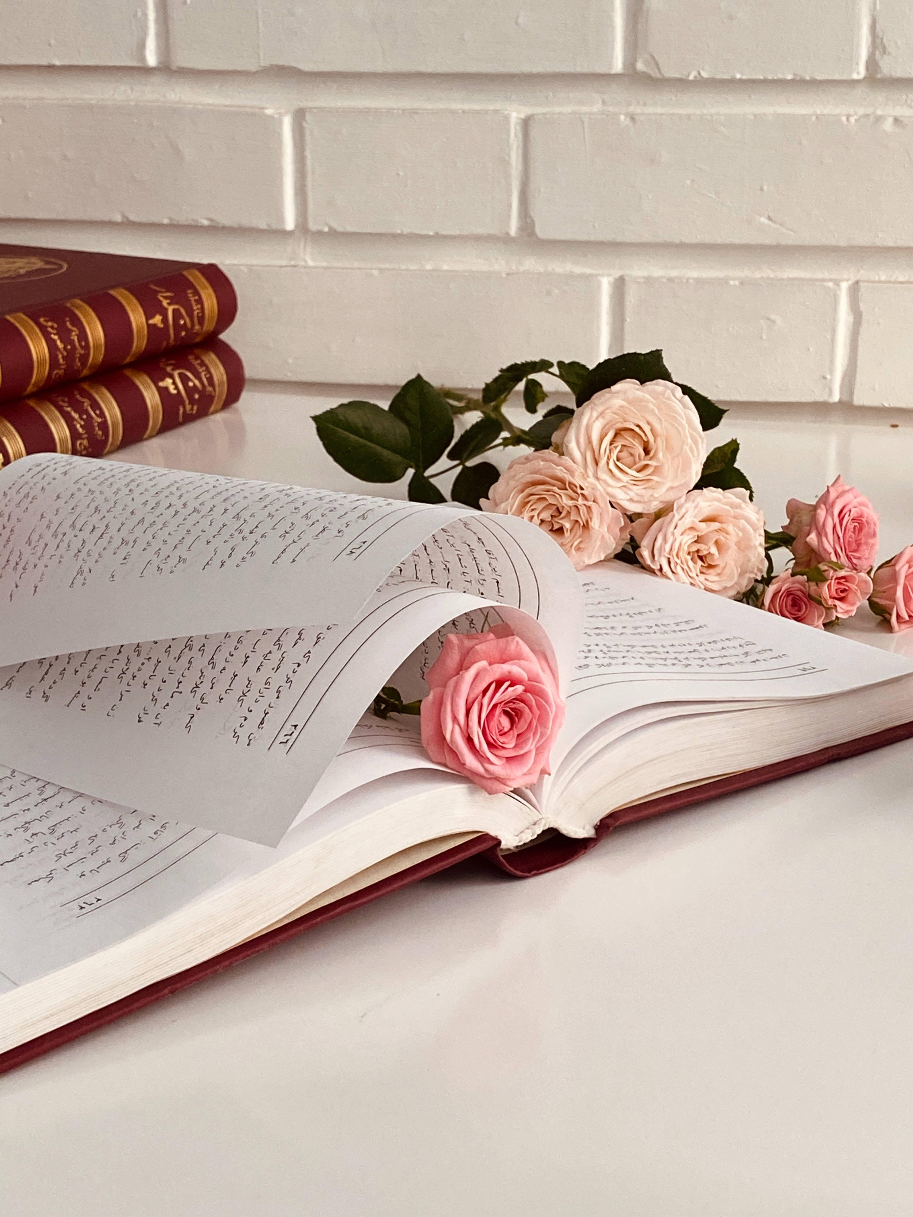 Rose Flower 桌布 壁紙 — 一朵柔和的粉紅玫瑰放在一本打開的書上，旁邊有一束花，背景是白色磚牆。