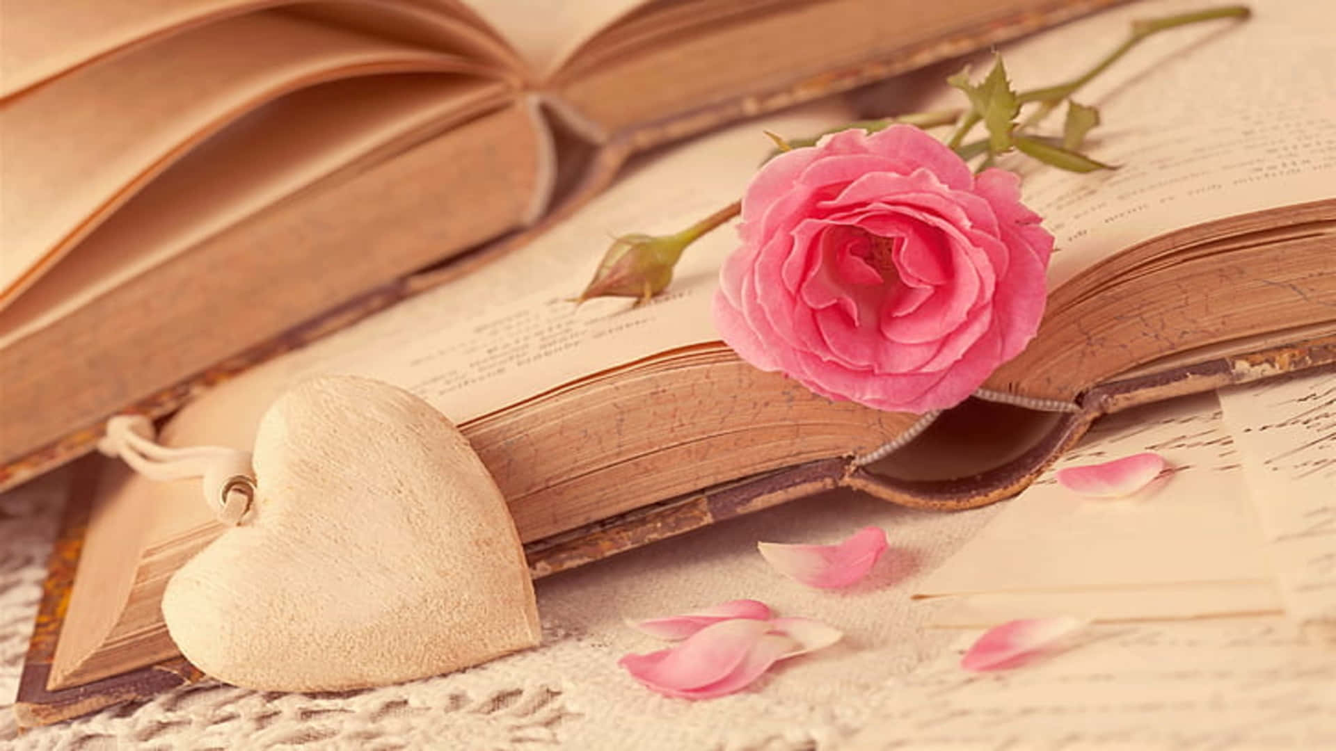 Rose Flower 桌布 壁紙 — 一朵柔和的粉紅玫瑰放在一本打開的復古書上，旁邊有一個木心，蕾絲上散落著花瓣。