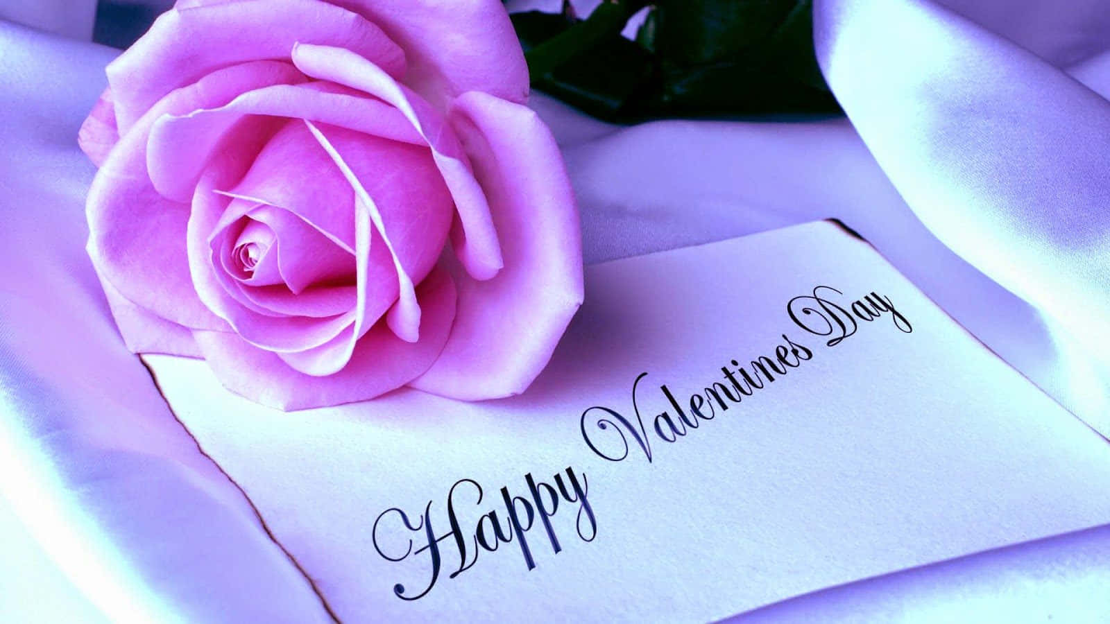 Valentines 桌布 壁紙 — 一朵柔和的粉紅玫瑰放在手寫情人節卡旁邊，置於絲滑的薰衣草色布料上。