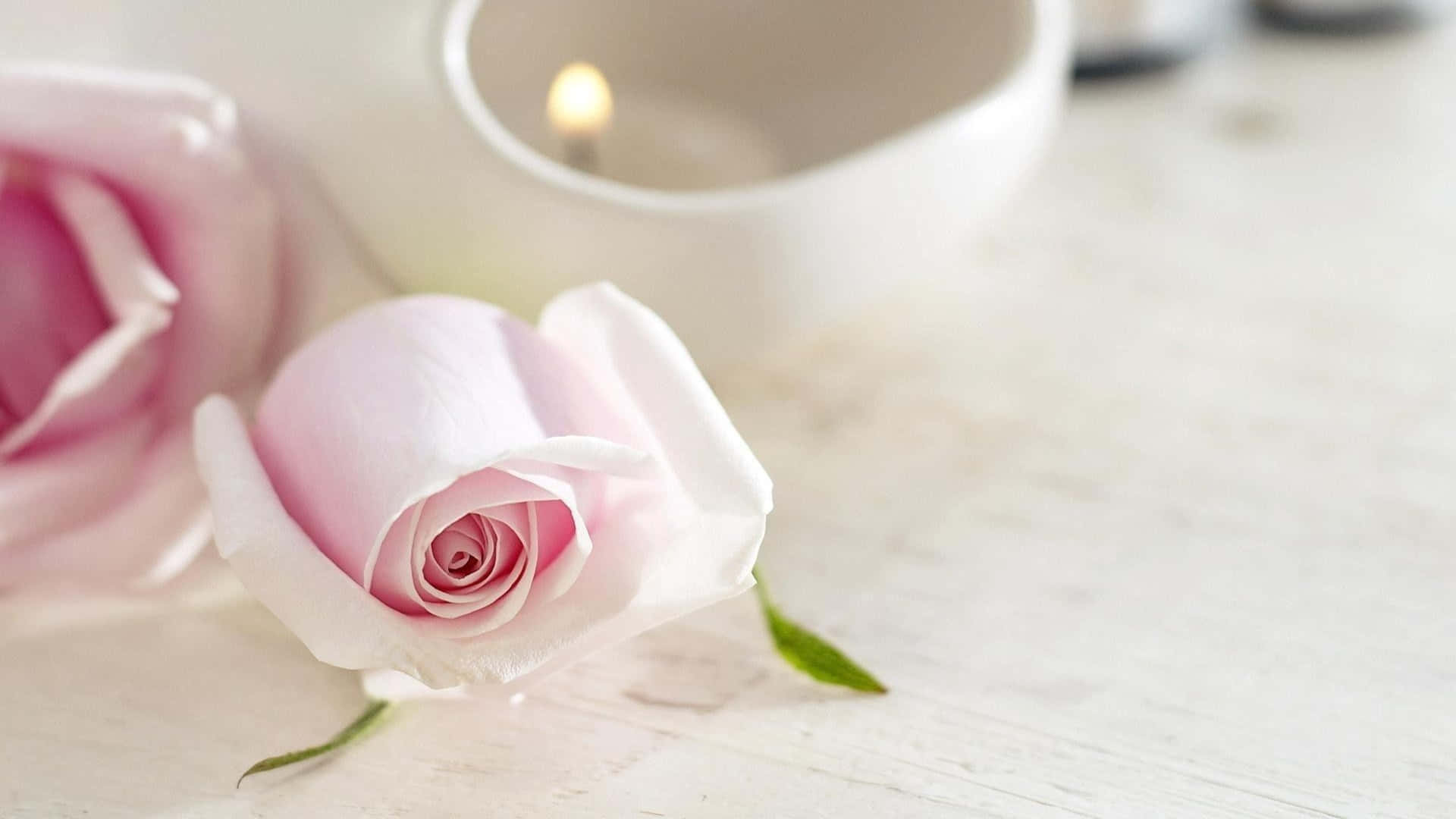 Pink Rose 桌布 壁紙 — 一朵柔和的粉紅玫瑰放在白色木質表面上的點燃蠟燭旁，營造出寧靜浪漫的氛圍。