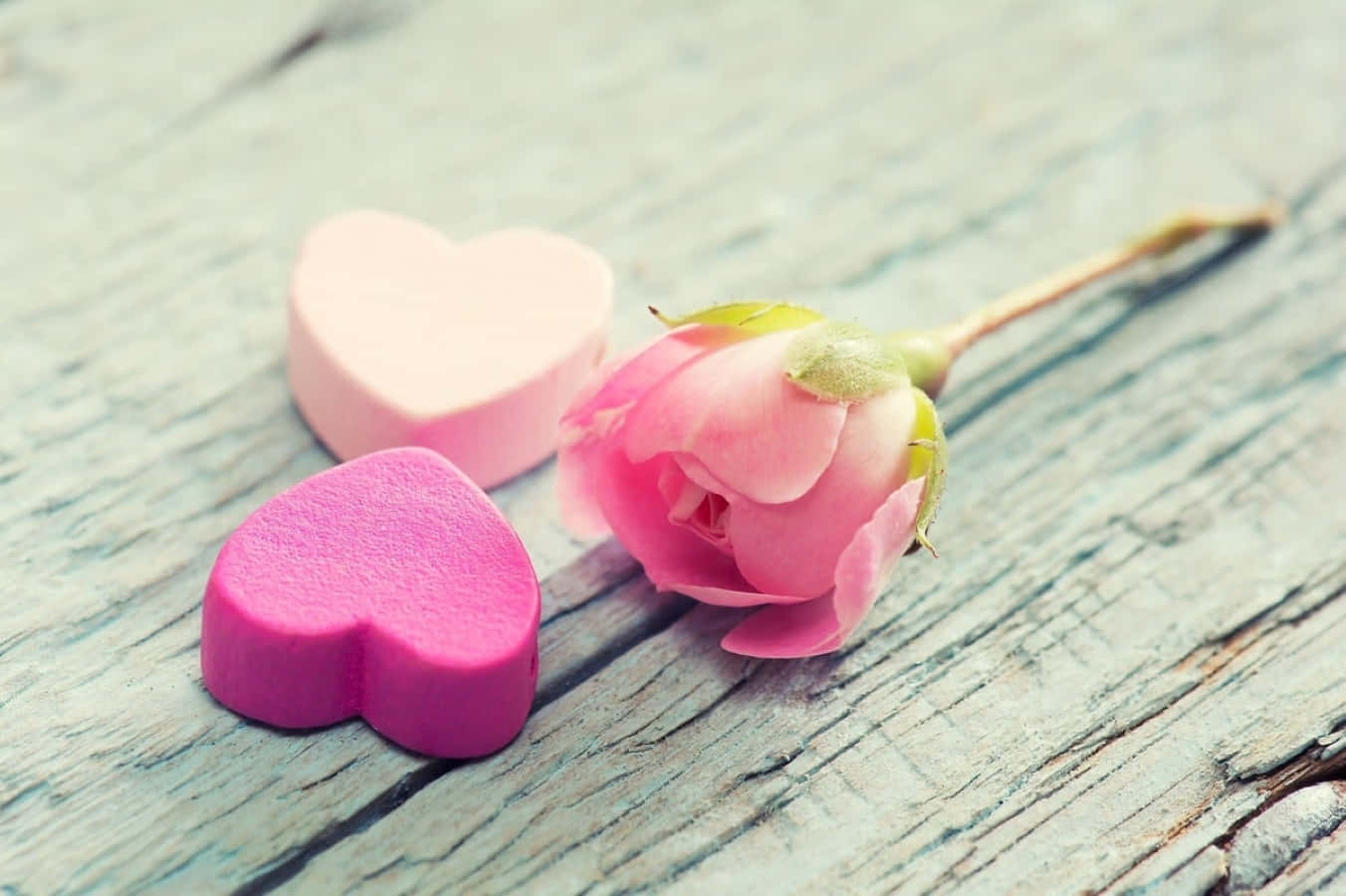 Rose Heart 桌布 壁紙 — 一朵柔和的粉紅玫瑰花蕾和兩個心形橡皮擦放在經風化的木質表面上，帶有復古濾鏡。