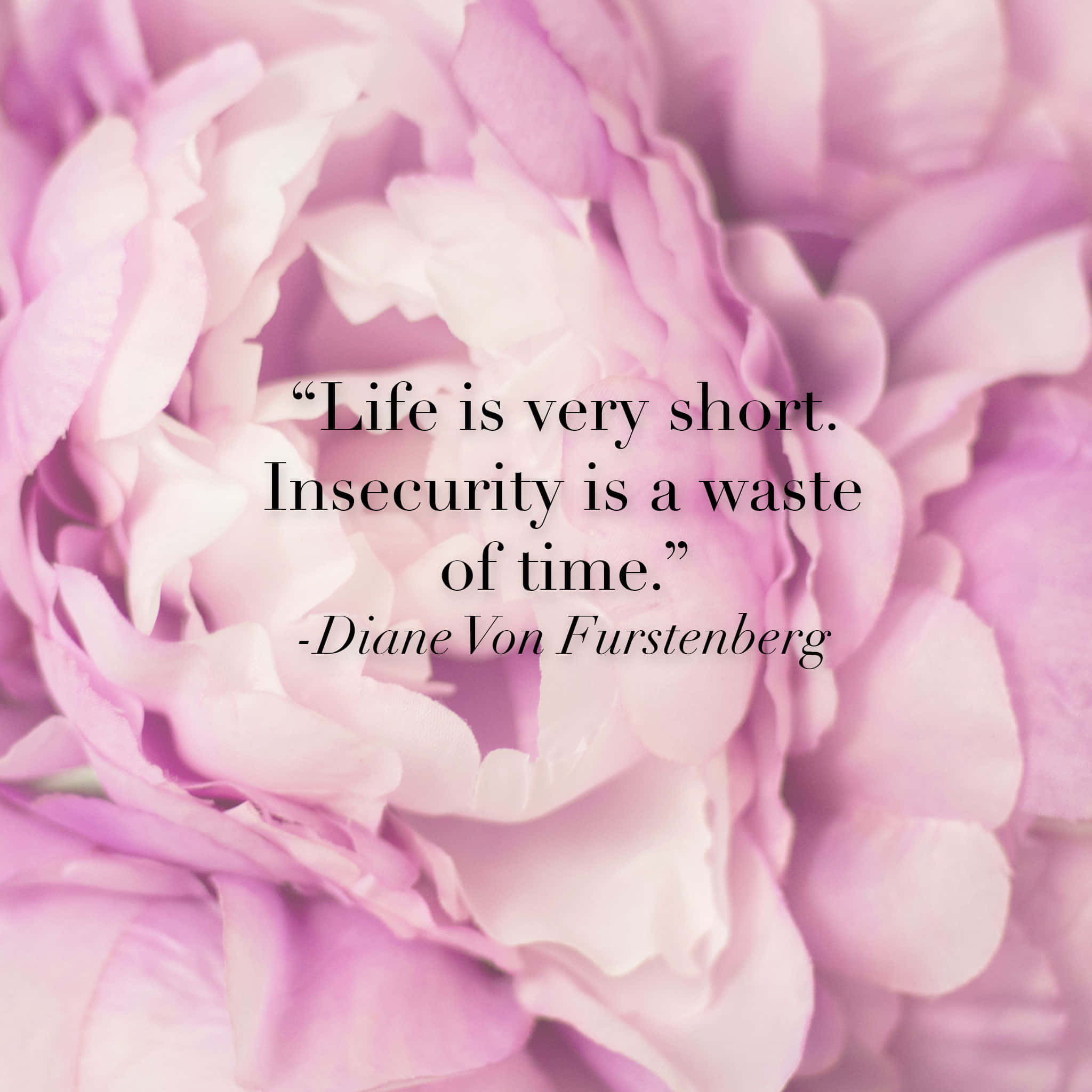 Rose Gold Quotes 桌布 壁紙 — 一朵柔和的粉紅色牡丹花作為Diane Von Furstenberg勵志名言的背景。