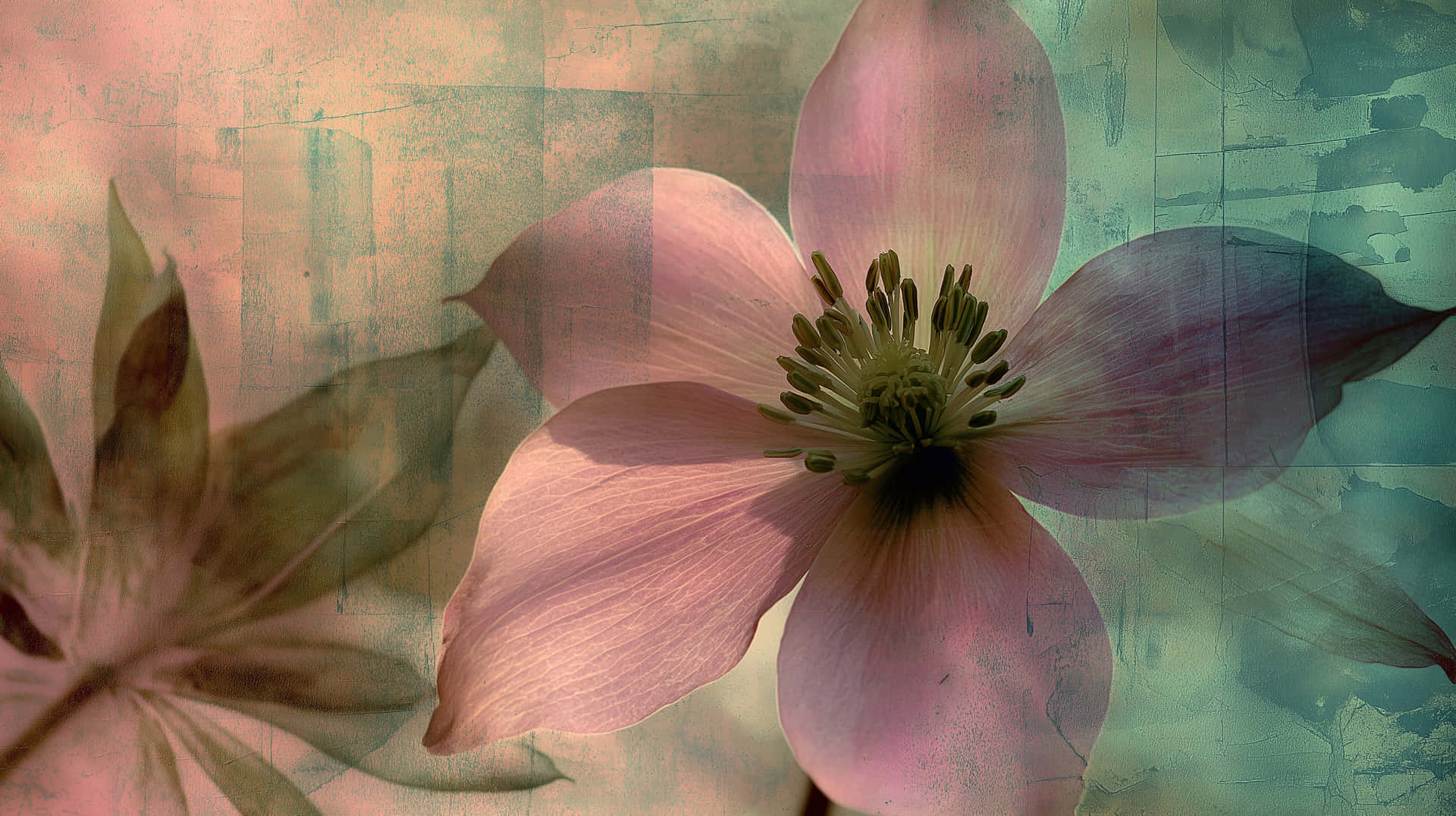 Dreamy Abstract Floral Composition with Textured Overlays 壁紙 — 一朵柔和的粉紅色花朵，帶有精緻的花瓣和綠色雄蕊，在帶有紋理的復古背景上綻放，色調為桃色和藍綠色。