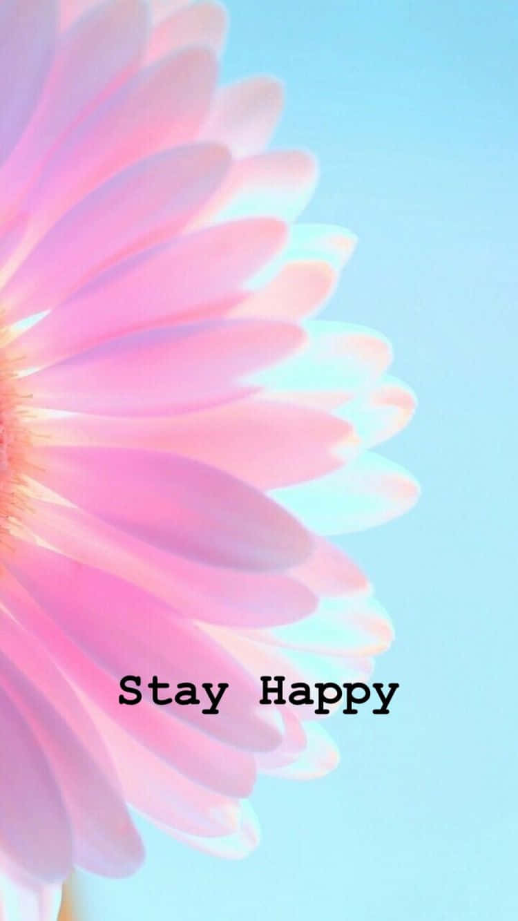 Cheerful 桌布 壁紙 — 一朵柔和的粉紅色花朵在寧靜的藍天下綻放，下方中央有振奮人心的文字「Stay Happy」。