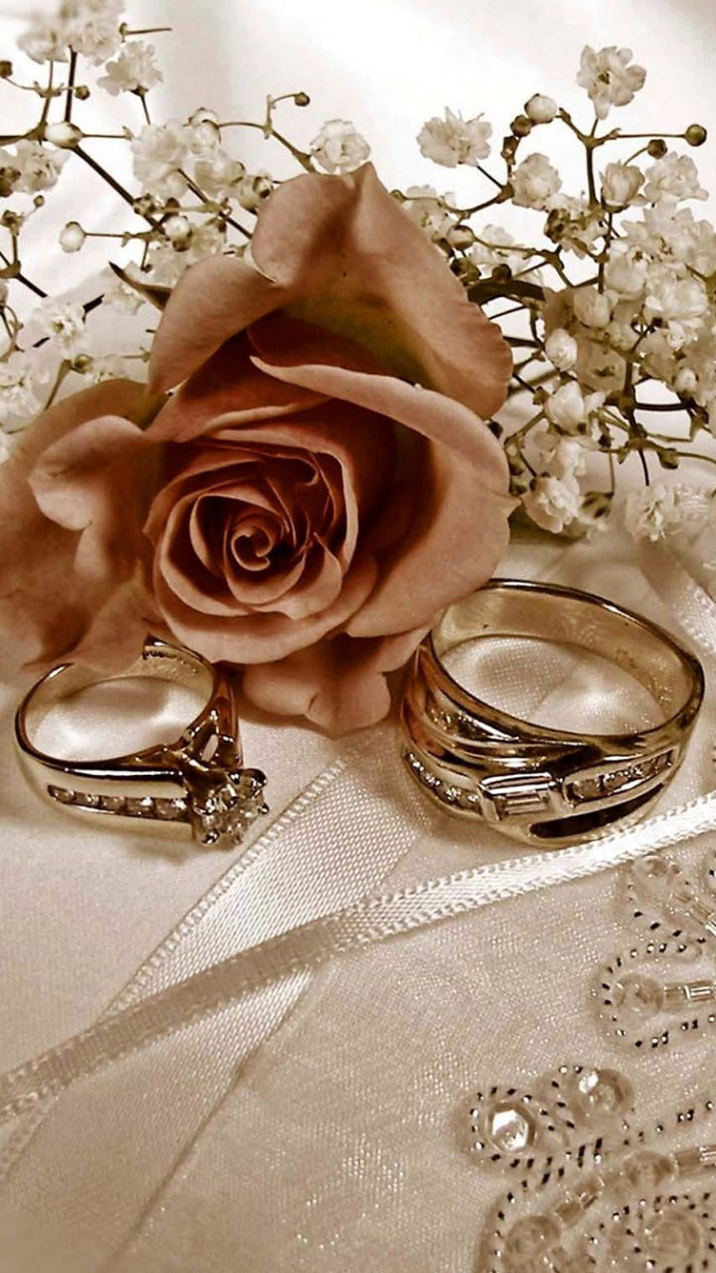 Wedding Rings 桌布 壁紙 — 一朵柔軟的蜜桃玫瑰和兩枚金色結婚戒指放在精緻的白色蕾絲布料上，配以滿天星花朵。