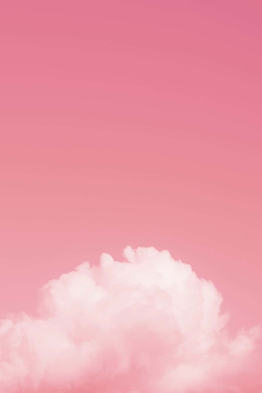 雲朵 桌布 壁紙 — 一朵柔軟蓬鬆的雲朵在漸變粉紅色的天空中，營造出夢幻般的粉彩氛圍。