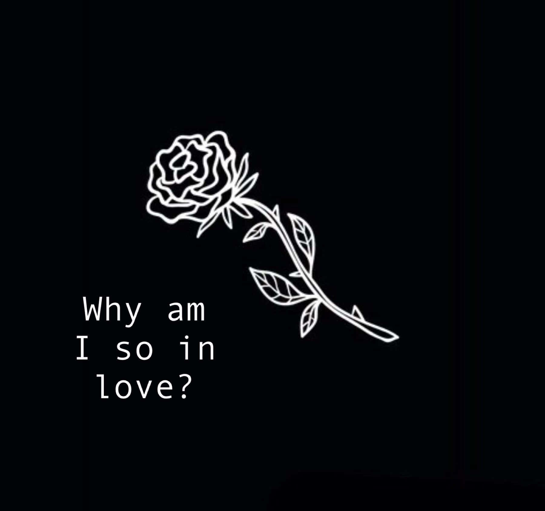 Broken Heart Aesthetics 桌布 壁紙 — 一朵極簡風格的白色線條玫瑰，背景為黑色，並帶有文字「為何我如此深愛」。