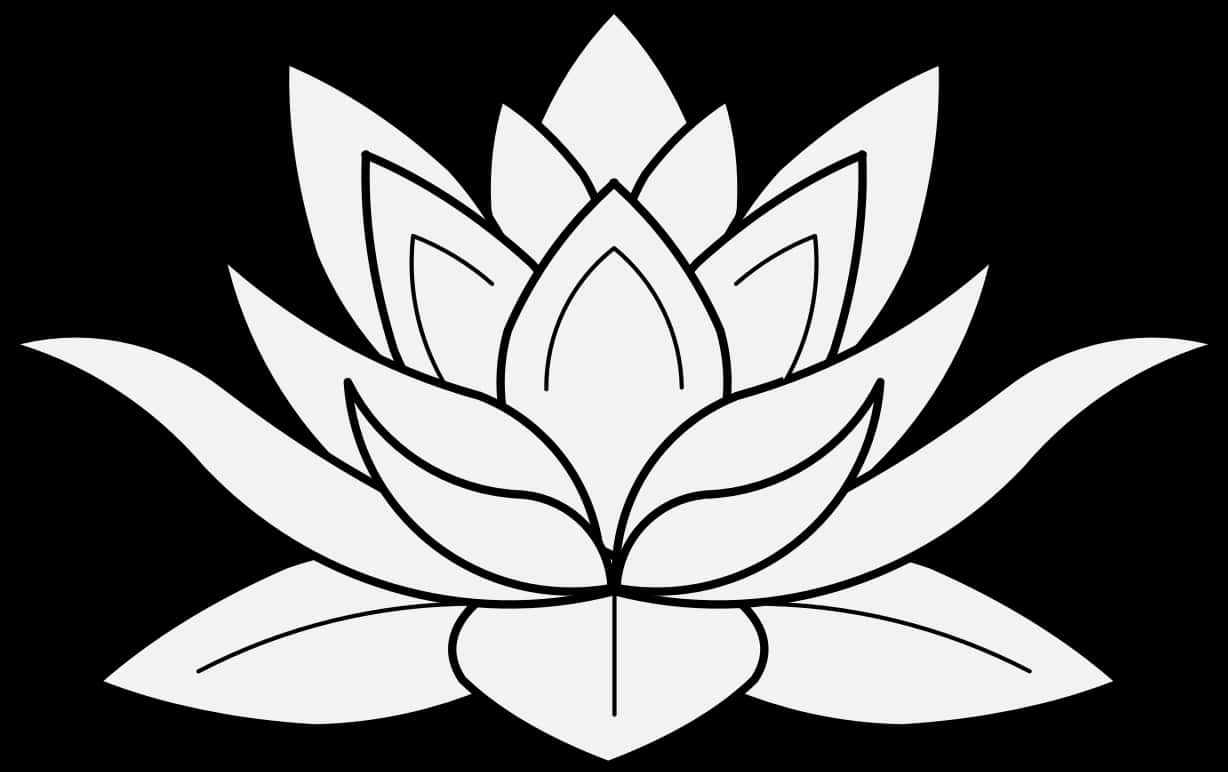 lotus 桌布 壁紙 — 一朵極簡風格的白色蓮花，帶有粗黑線條，在純黑背景上綻放。