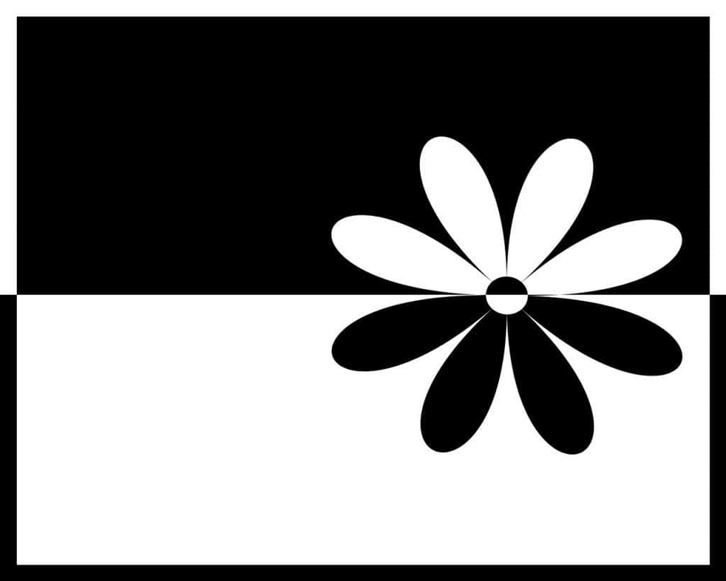 Beautiful Black And White 桌布 壁紙 — 一朵極簡黑白抽象花朵，花瓣交替排列，橫跨水平分割的背景。