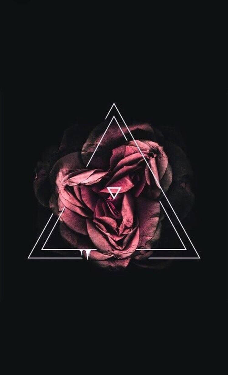 black aesthetic rose 桌布 壁紙 — 一朵深栗色玫瑰，位於發光的白色幾何三角形中央，背景為純黑色。