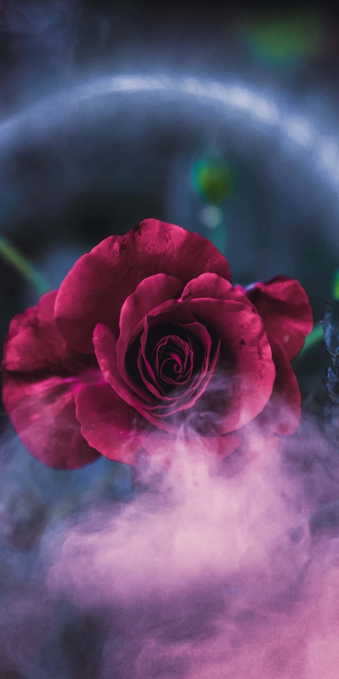 Pixel 3 Roses 桌布 壁紙 — 一朵深洋紅色的玫瑰在深藍色模糊背景中，於旋轉的粉紅色煙霧中盛開。