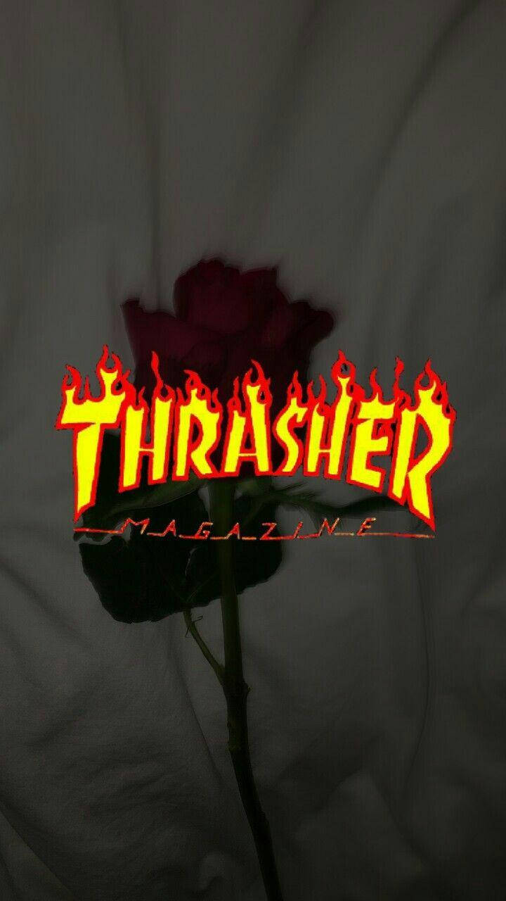 Red Baddie 桌布 壁紙 — 一朵深紅玫瑰，下方有熾熱的Thrasher Magazine標誌在陰影布料背景上發光。