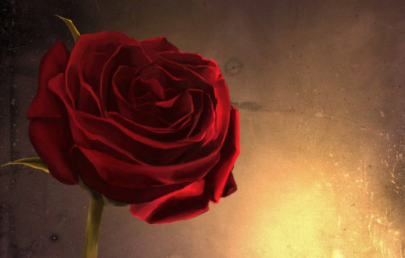Rose Aesthetic 桌布 壁紙 — 一朵深紅色的玫瑰，花瓣精緻，在帶有紋理的金色和深色背景上閃耀。