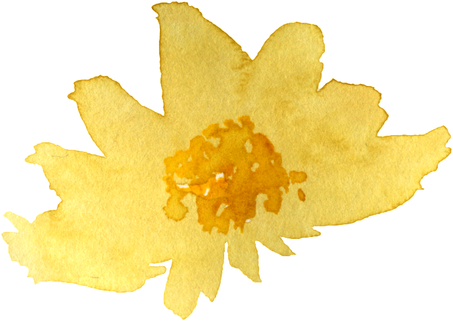 Yellow Flower 桌布 壁紙 — 一朵溫暖黃色調的精緻水彩蒲公英花，在純黑背景上綻放。