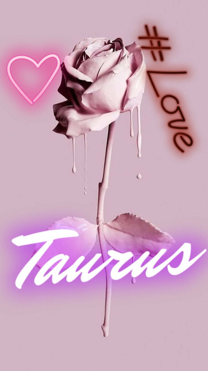 taurus 桌布 壁紙 — 一朵滴落的粉紅玫瑰，帶有霓虹心形和愛情文字，在柔和的粉紅背景上發光。