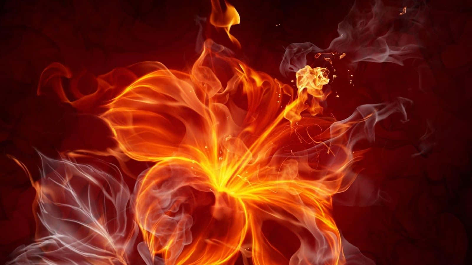 Cool Fire 桌布 壁紙 — 一朵火熱的橙色百合在深紅色背景上綻放，伴隨著旋轉的火焰和煙霧。