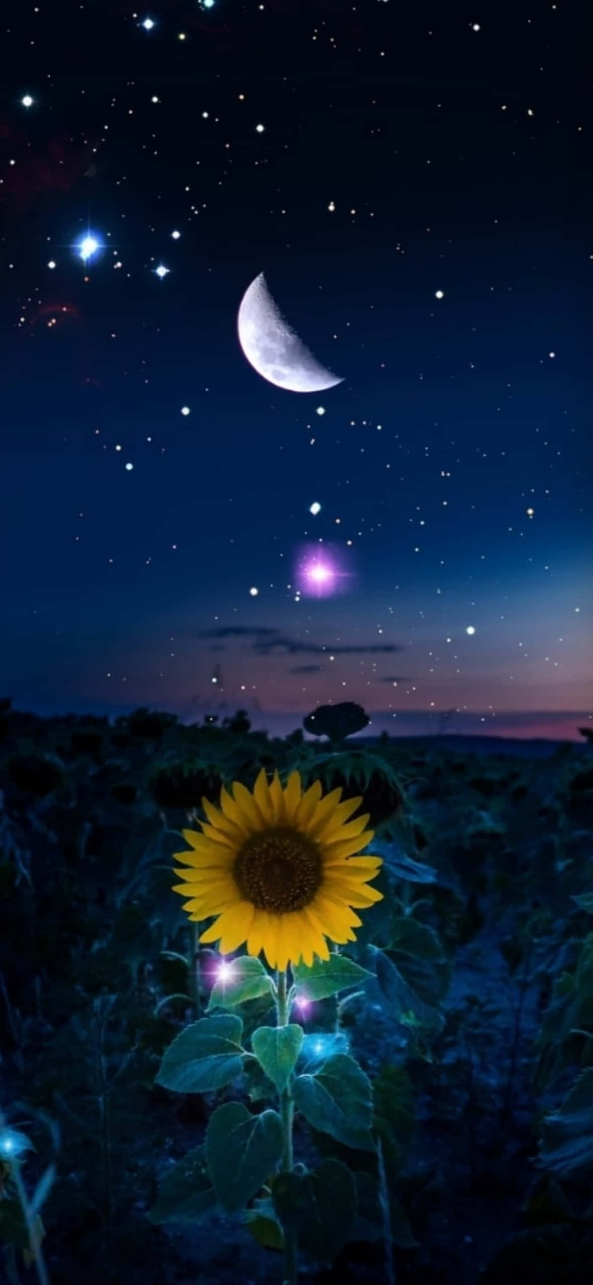 1179x2556 桌布 壁紙 — 一朵發光的向日葵矗立在田野中，夜空繁星點點，有一彎新月和紫色星雲。