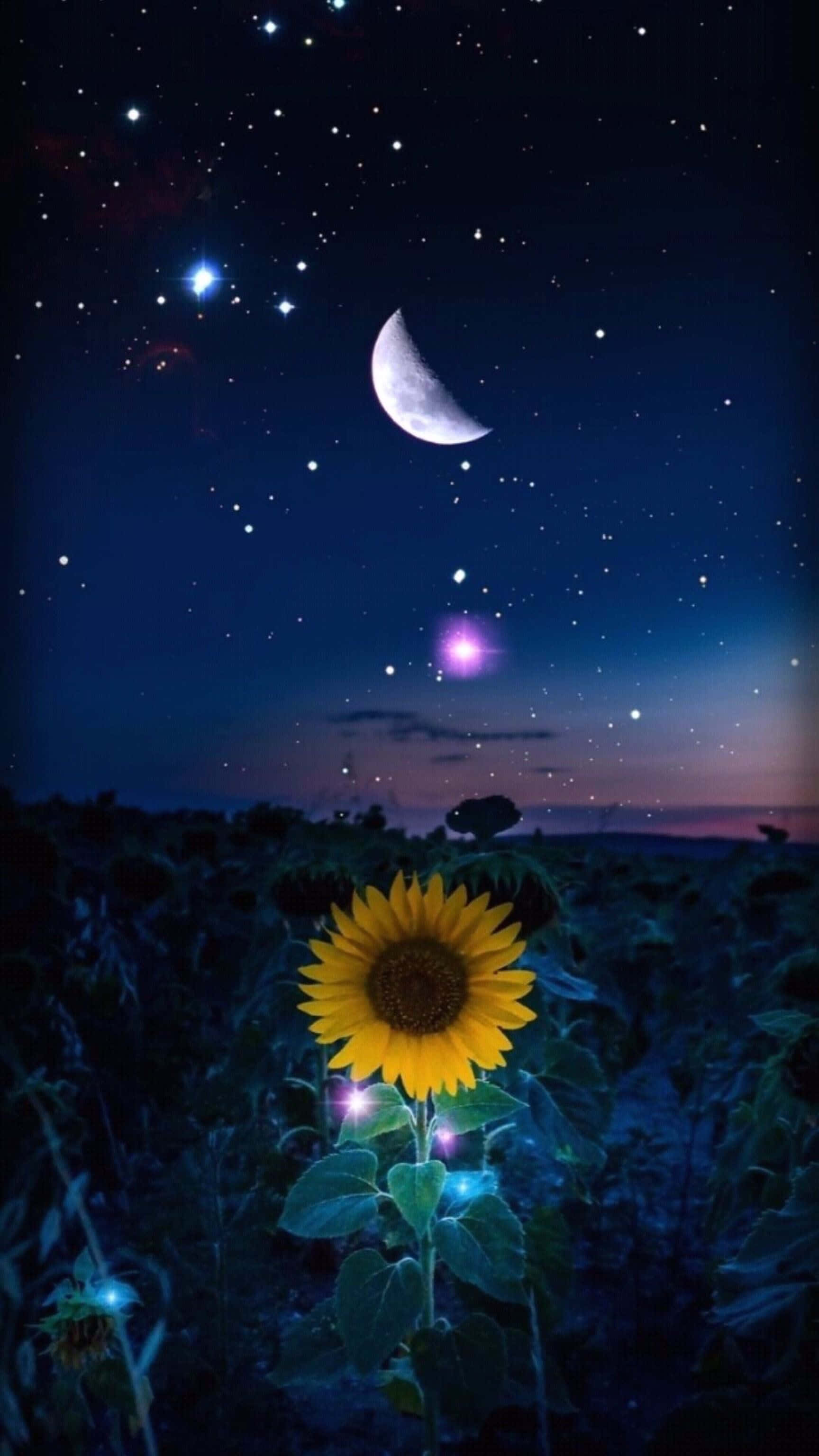 Sunflower Aesthetic iPhone 桌布 壁紙 — 一朵發光的向日葵矗立在田野中，背景是星空、新月和紫色星雲。