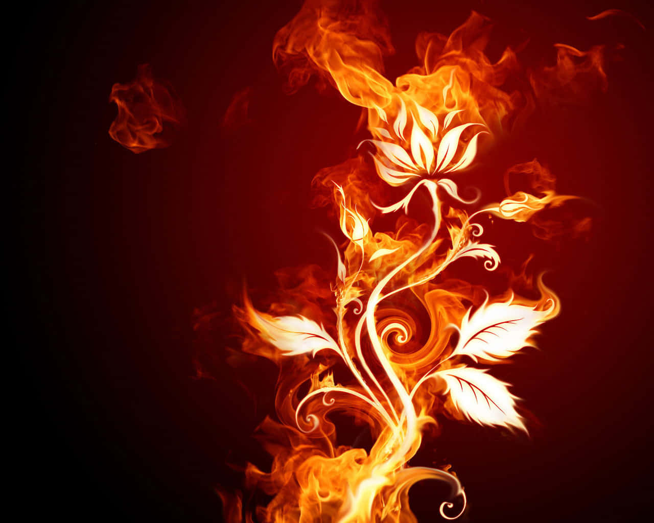 Flame 桌布 壁紙 — 一朵發光的火焰花在深紅色背景上盛開，帶有旋轉的橙色火焰。