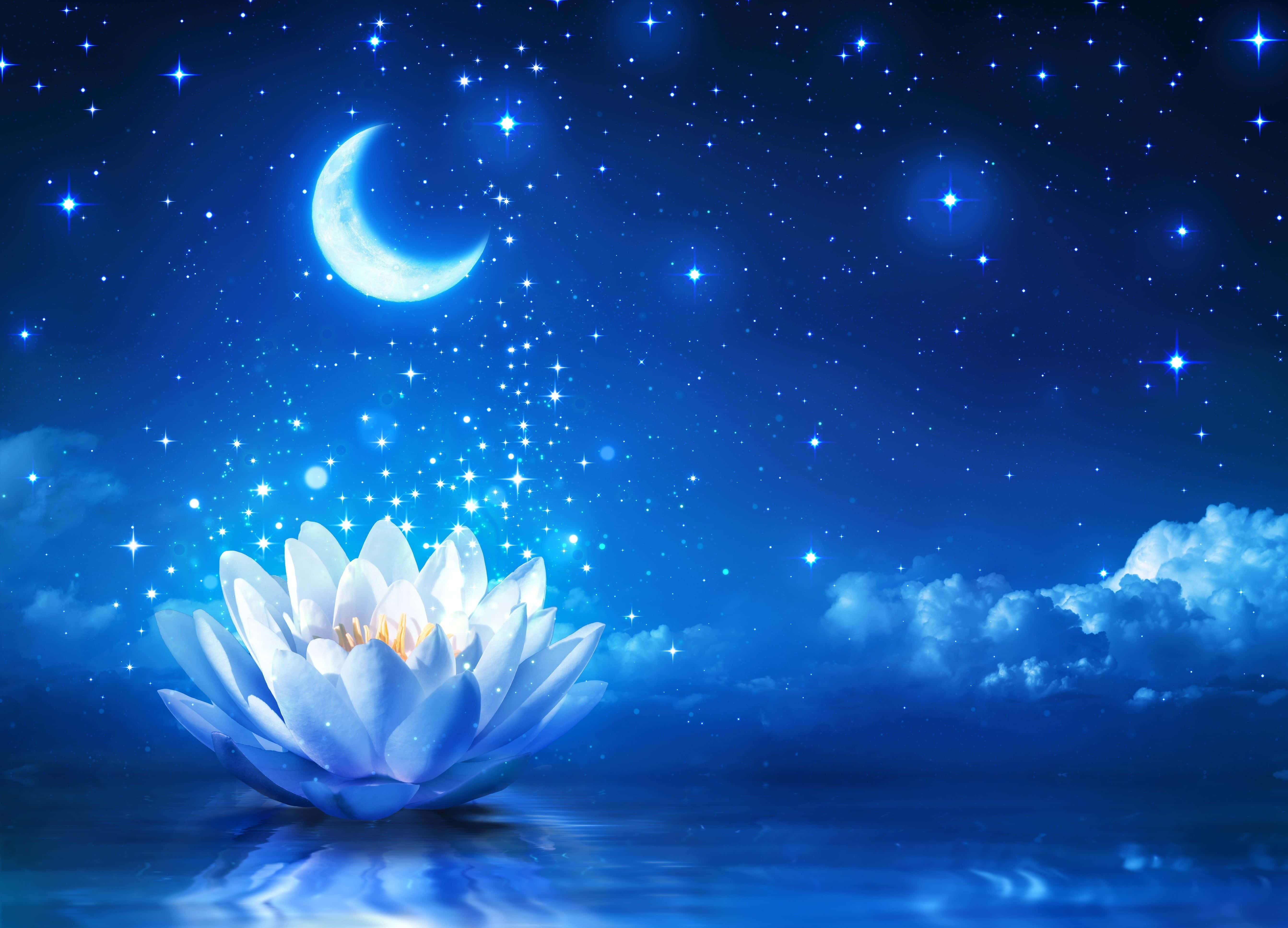 lotus 桌布 壁紙 — 一朵發光的白色蓮花在深藍色夜空中的新月和閃爍星星下靜靜地漂浮在水面上。