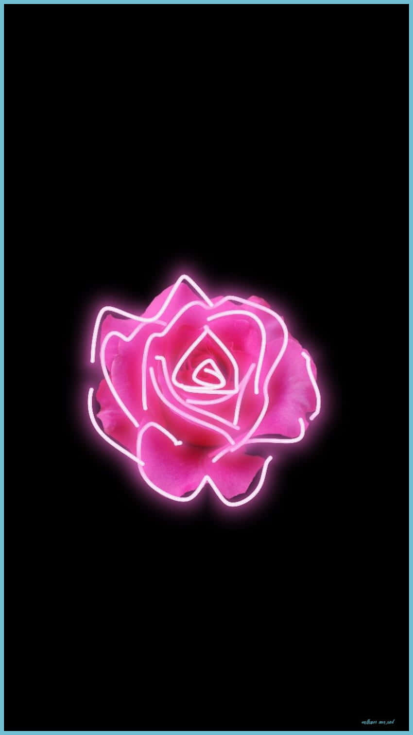 Neon Aesthetic Phone 桌布 壁紙 — 一朵發光的粉紅色霓虹玫瑰，帶有明亮的白色輪廓，在純黑色背景上脈動。
