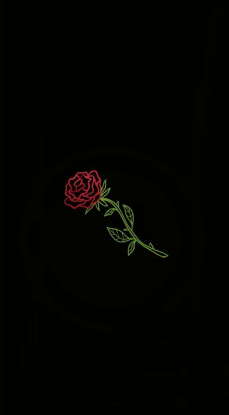 Black Rose Aesthetic 桌布 壁紙 — 一朵發光的紅玫瑰，帶有綠色莖和葉子，以霓虹燈勾勒在漆黑的背景上。