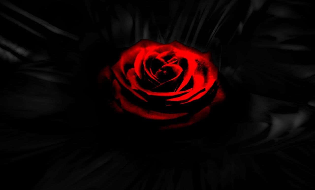 Roses 桌布 壁紙 — 一朵發光的紅玫瑰在旋轉的黑色虛空中強烈脈動，散發著神秘與危險。